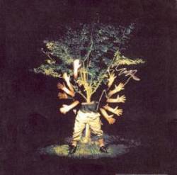 Tridus Elasticus : Minimalis Maximus